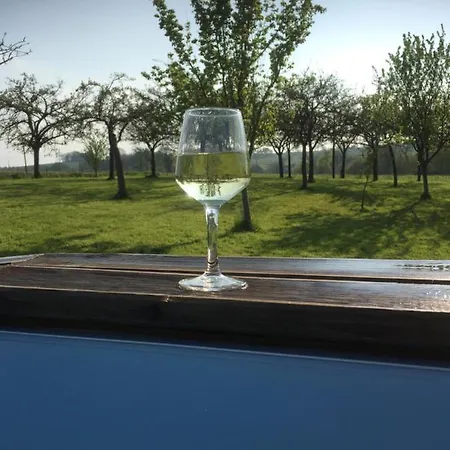 펜션 6 Bedroom House With Pool